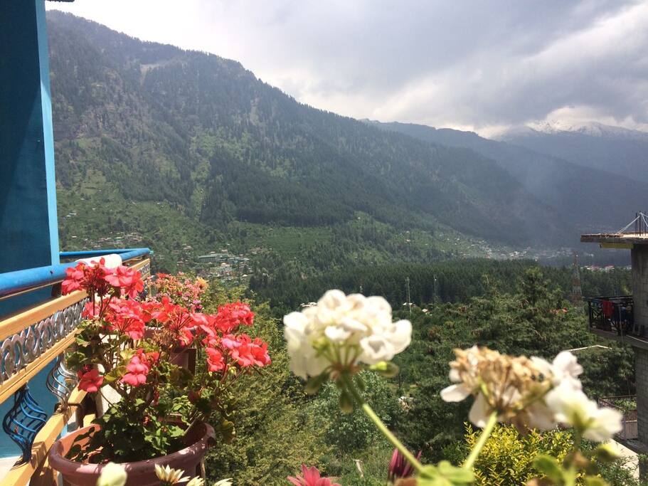 view