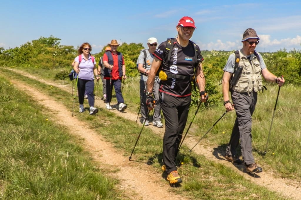 Semplici sentieri di nordic walking - anche con istruttore
