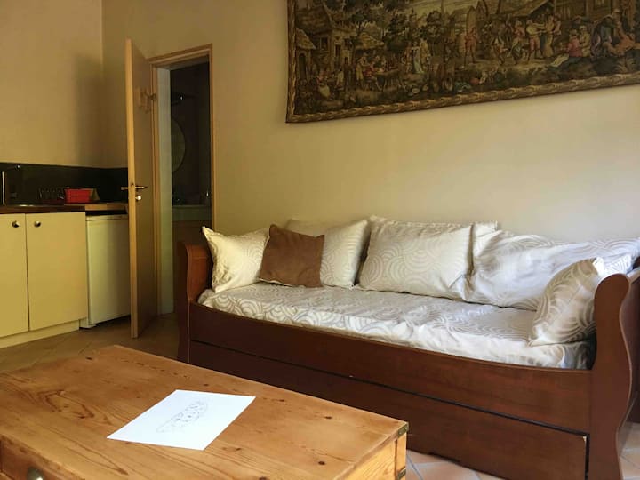 Maison D'amis De L’orangerie - Orthez