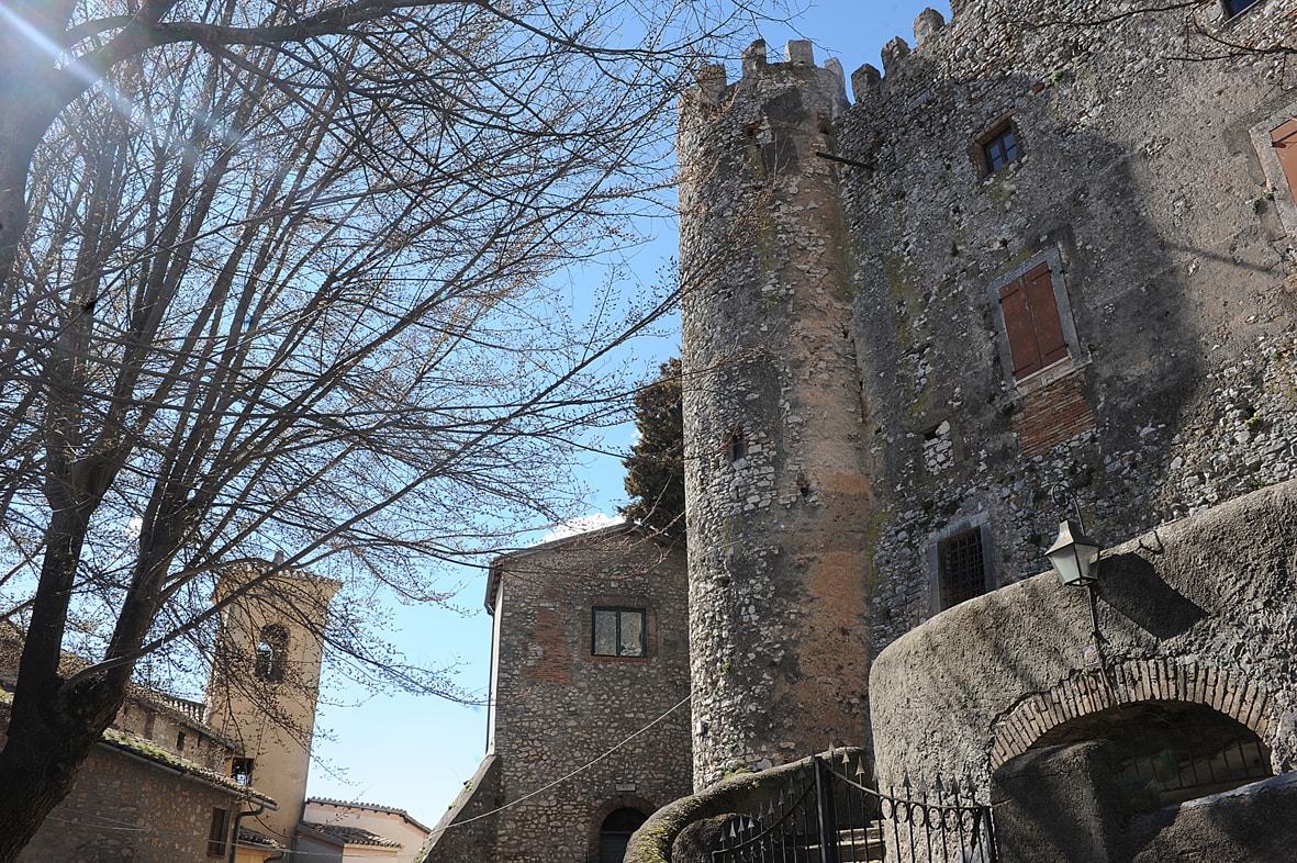 The image captures a historic medieval castle rising against a clear blue sky. Its stone walls are partially covered in moss, and there are several windows visible, some with wooden closures. Nearby, a tree with bare branches adds to the scene's rustic charm.
