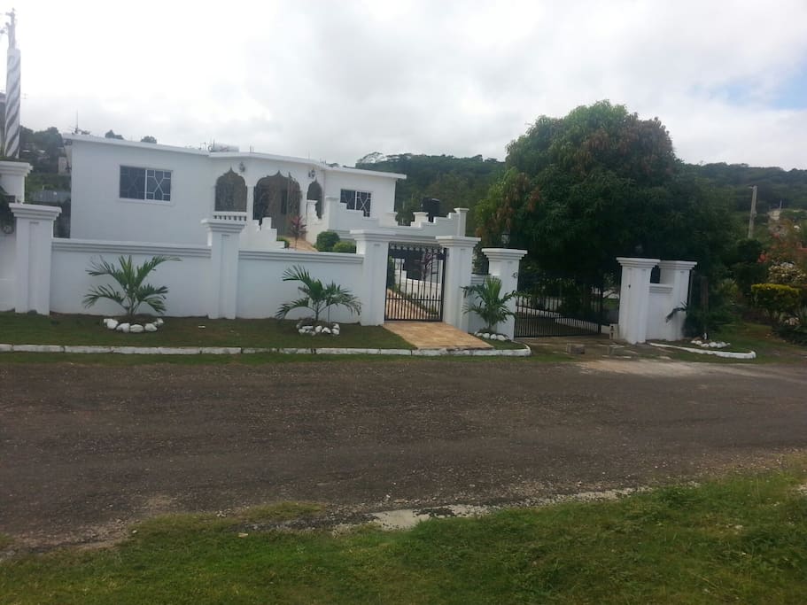 Front View