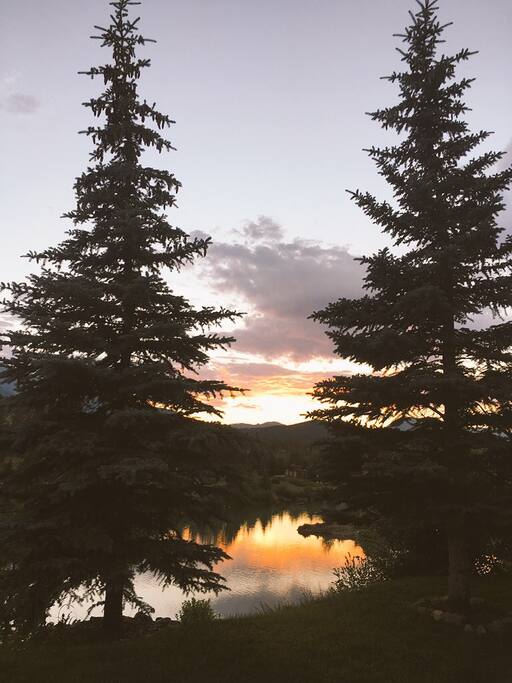View over the pond