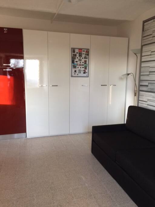 View of the studio, sofa, wall bed and closet