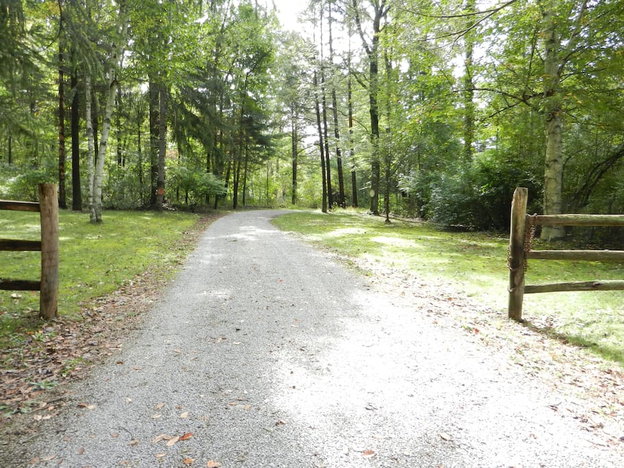 The driveway into Laurel View.