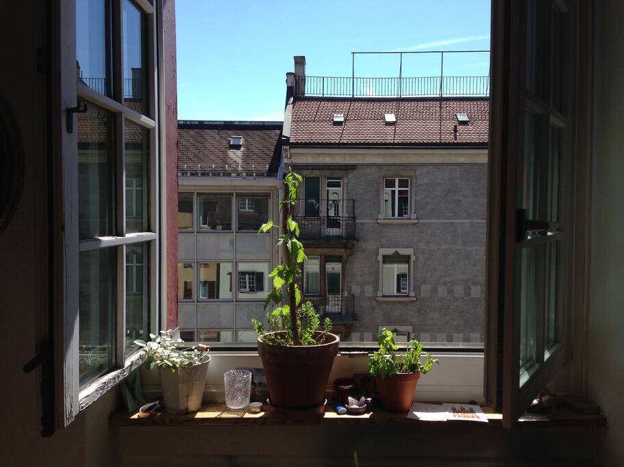 View from my room