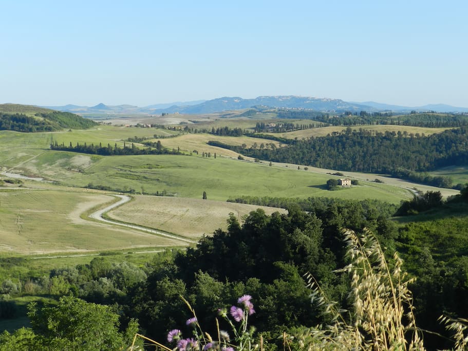 Il panorama dei dintorni: sullo sfondo Volterra