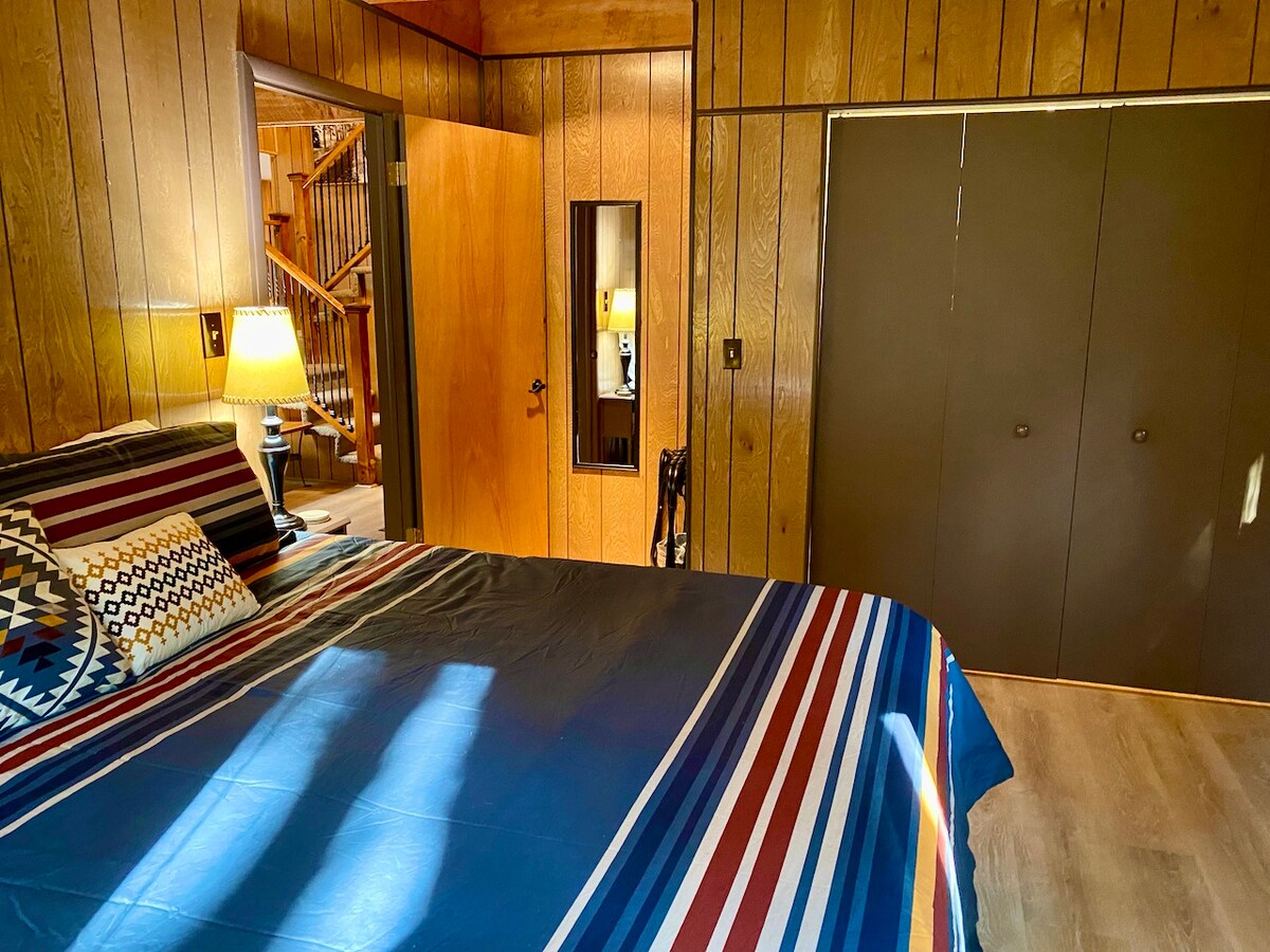 A downstairs bedroom featuring a king bed, wood-paneled walls, and basic lighting for a simple cabin-style setup.