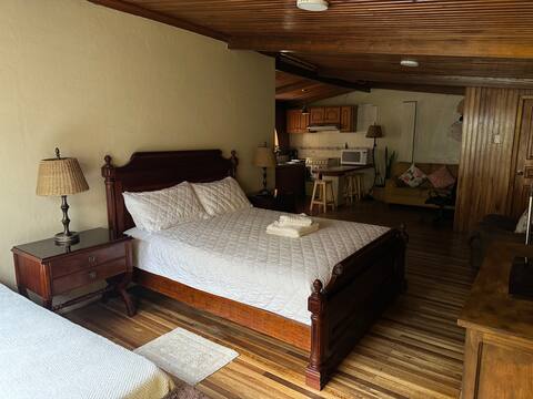 Modern and comfortable suite near the Municipality