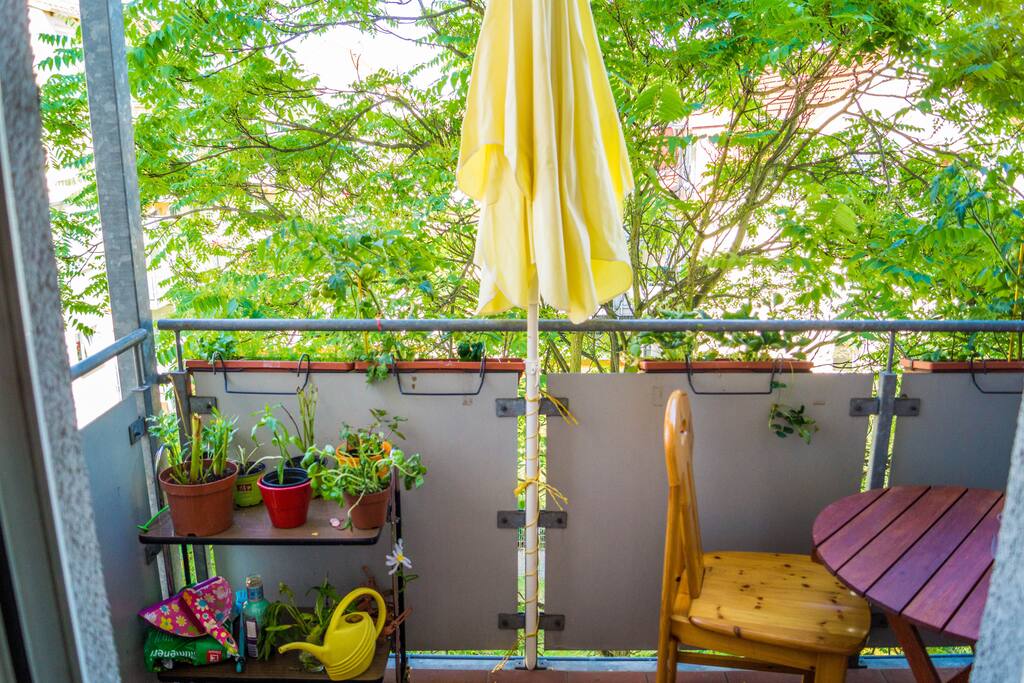 Balkon und Pflanzen