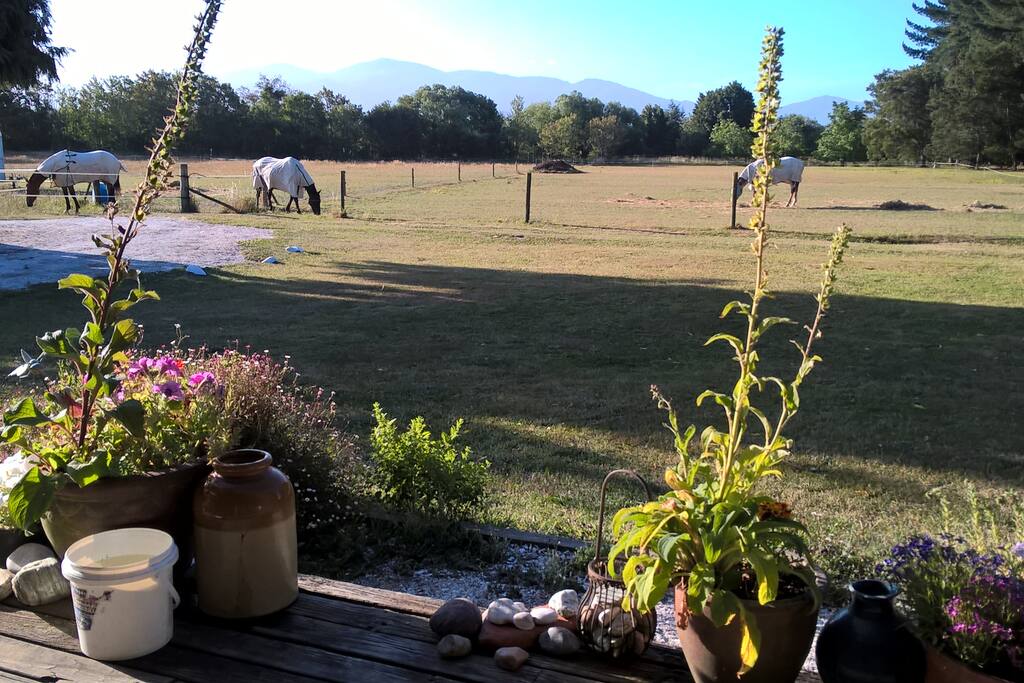 2e61ca12 6356 4341 8770 63e247d1b115