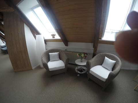 Top performing Airbnb: Cozy apartment in the center in Roskilde