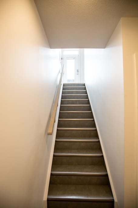 Stairs to basement suite