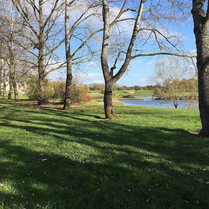 Lakes and walking paths by the house