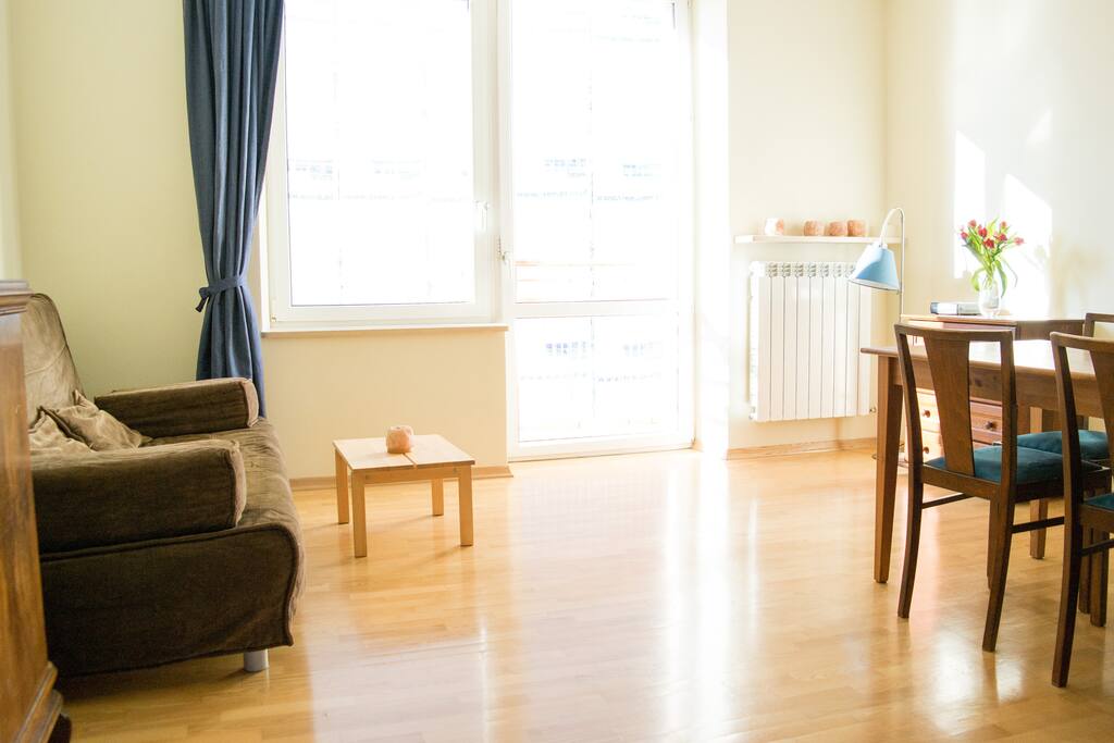 Living room with a folded 2-person sofa bed