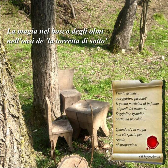 la casa del folletto nel bosco