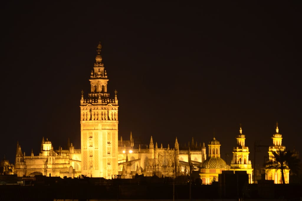Vista desde la azotea por la noche
(night views)