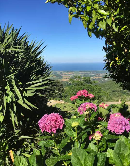Vue du domaine / Vue from the domain