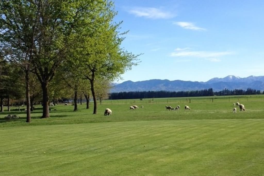 View from the house
