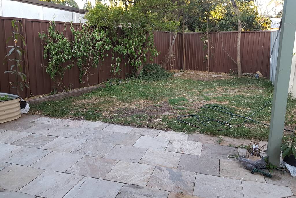 The backyard.