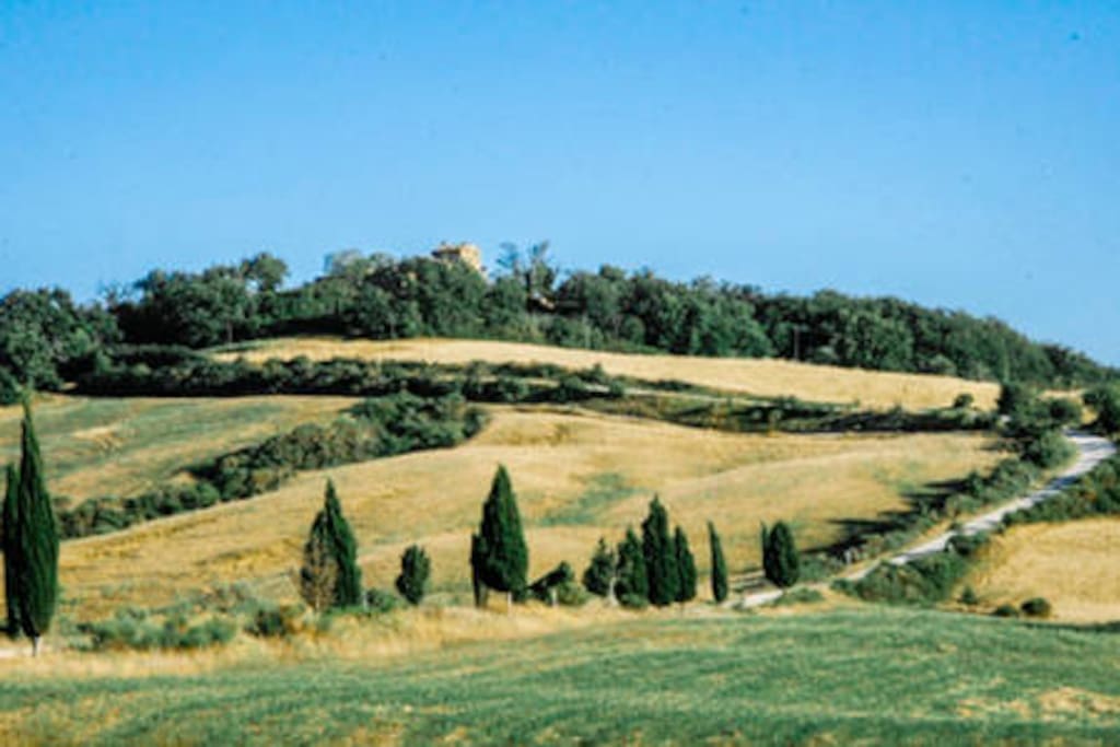 Lucignanello is located on the top the hill