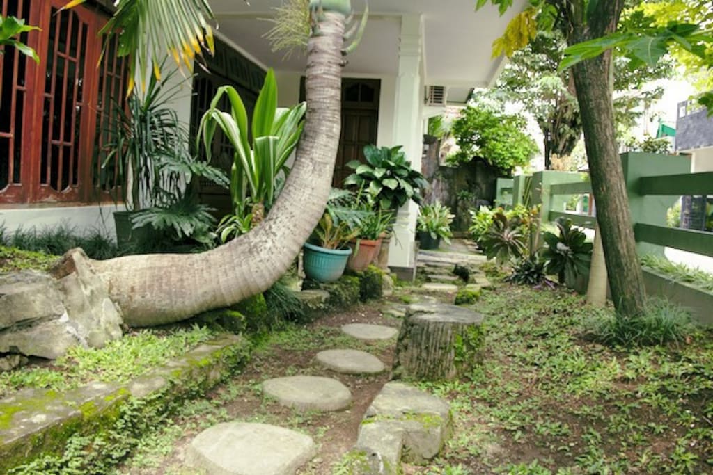 Front yard