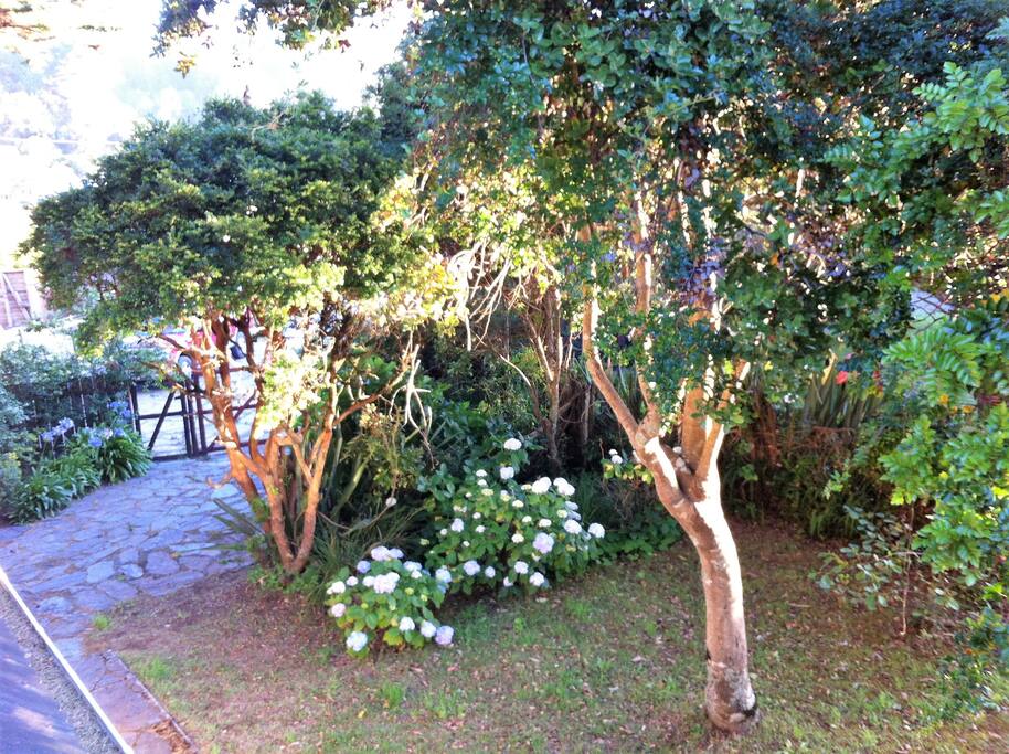 Jardín y entrada autos