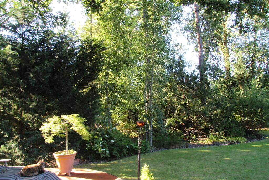Garden from deck/another view