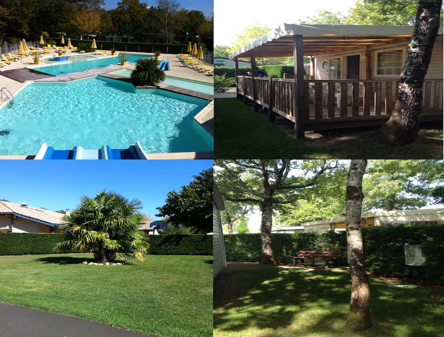 MH + Piscine