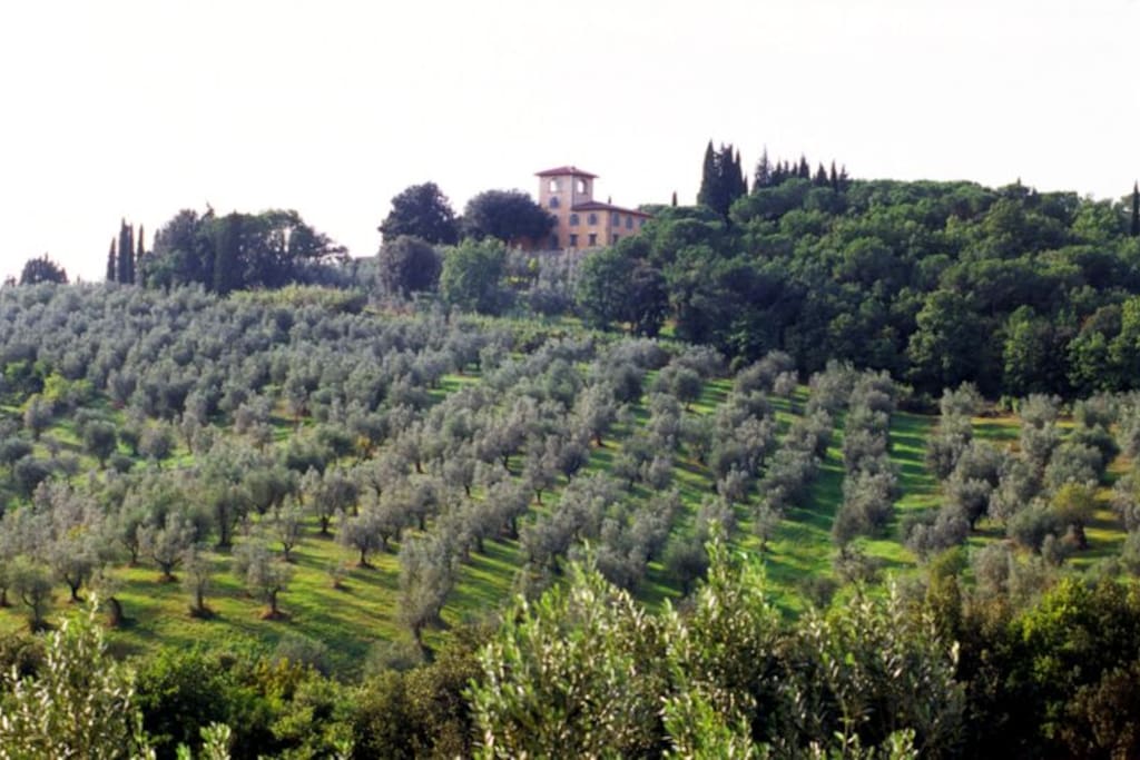 estate view