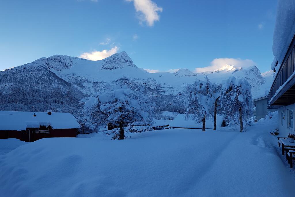 Vinter
