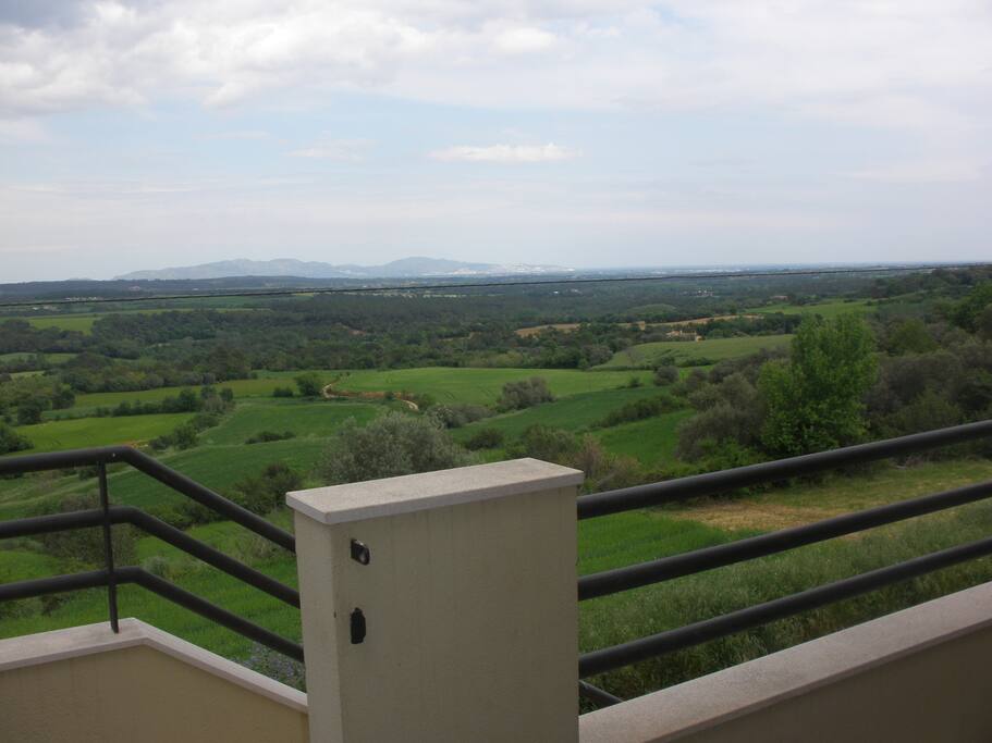 Vistas
