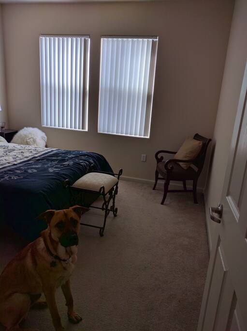 The third floor gives a view but also privacy!