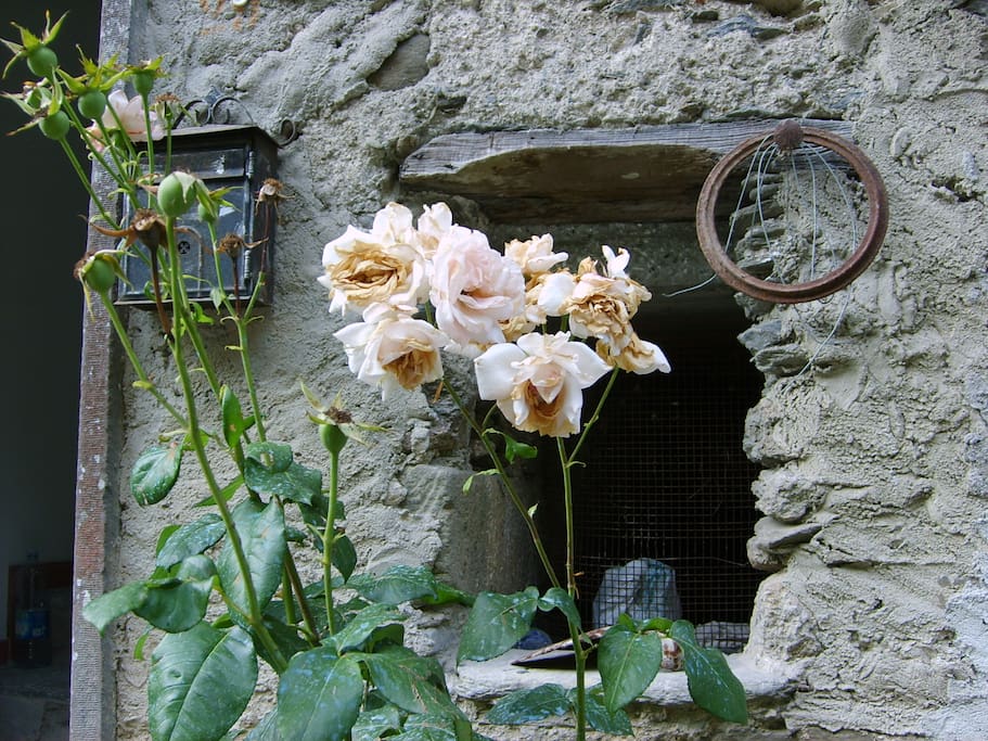 Entrata