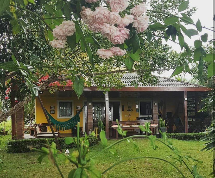 Vista frontal