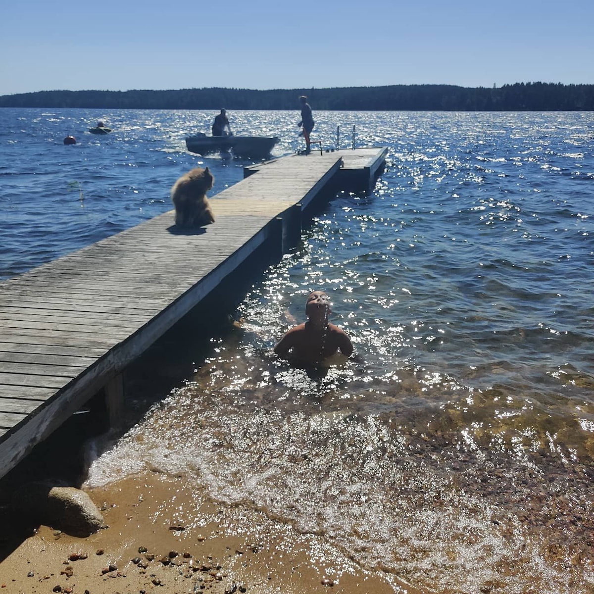 A wooden dock extends into a shimmering lake, with individuals enjoying various activities. The sun reflects off the water, creating a bright atmosphere. A person is partially submerged near the shore, while a dog observes nearby. The scene captures a relaxed summer day by the water.
