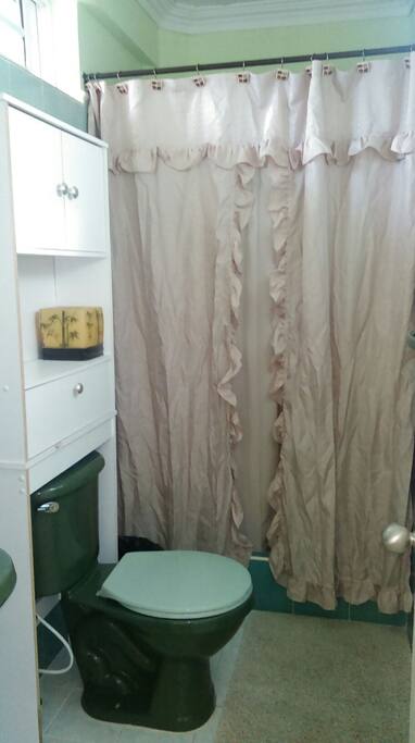The bathroom