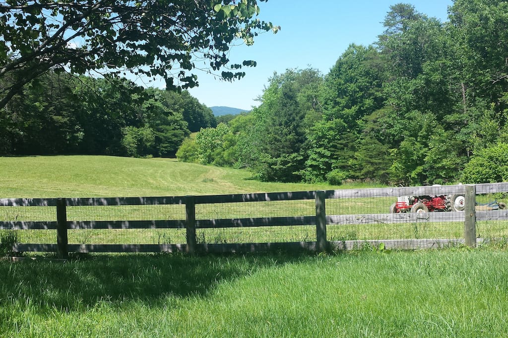 Summer view of pasture.