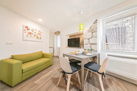 Mariva downtown 1-bedroom apartment, free parking
