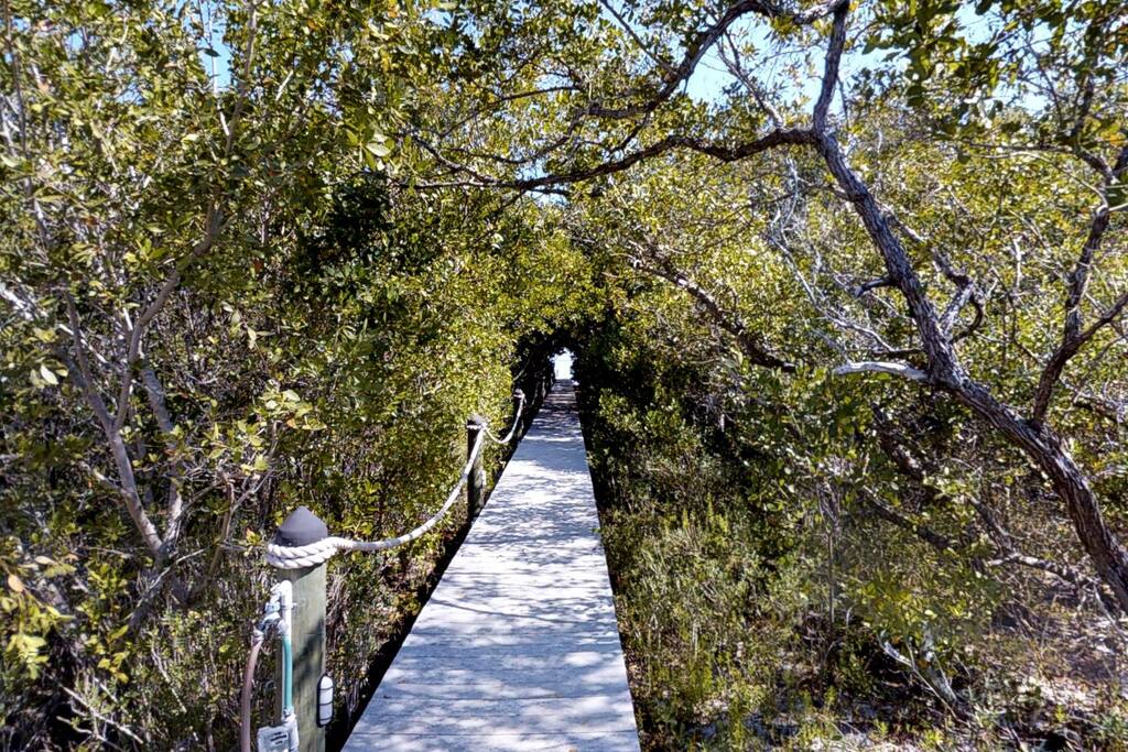 Walkway from dock to house