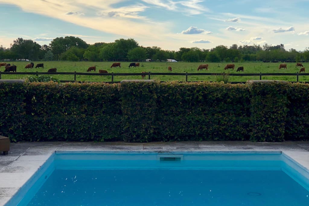 View of the Countryside from pool area