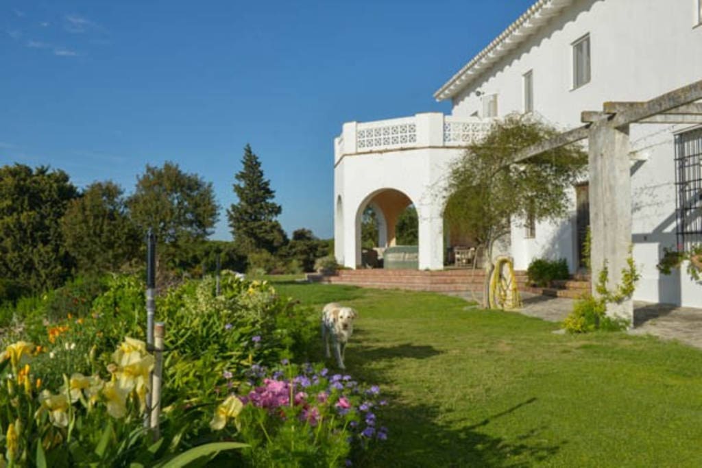 The garden