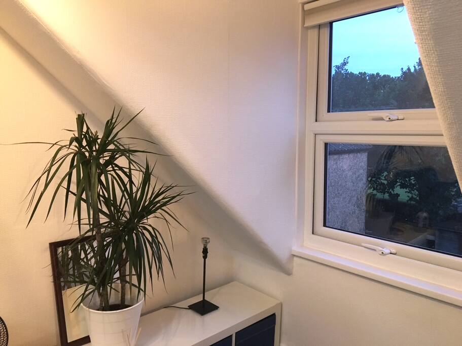 XL Double Bedroom Window