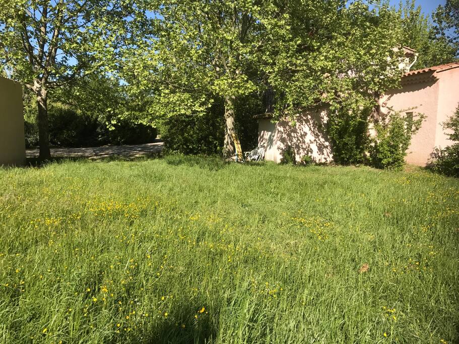 arrière du bastidon