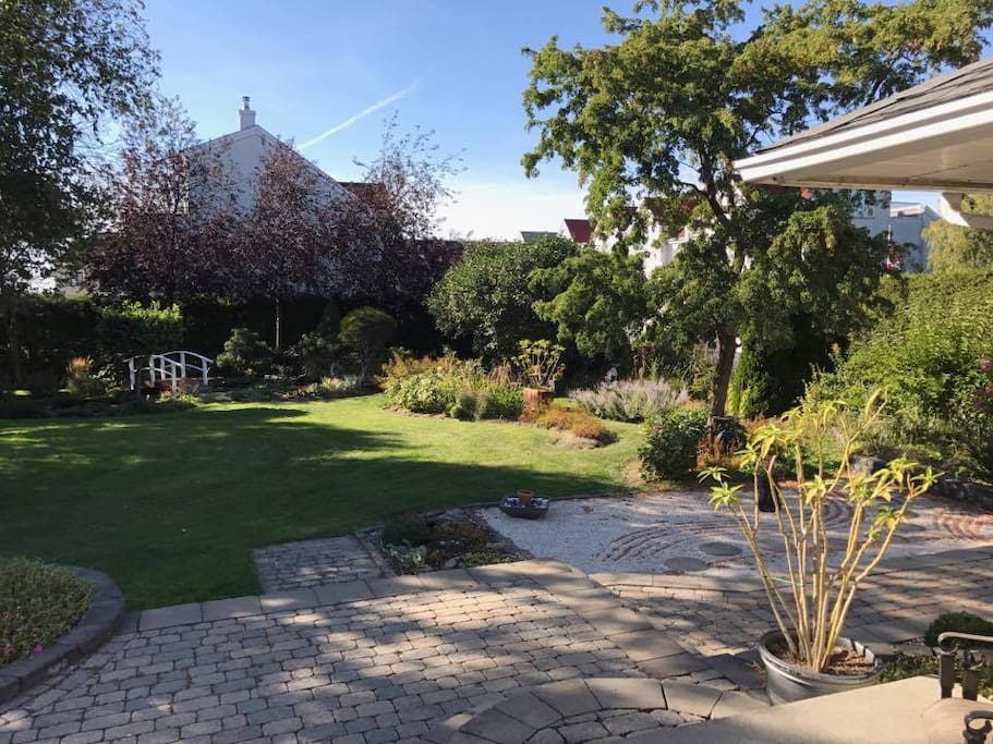 Garden from Patio