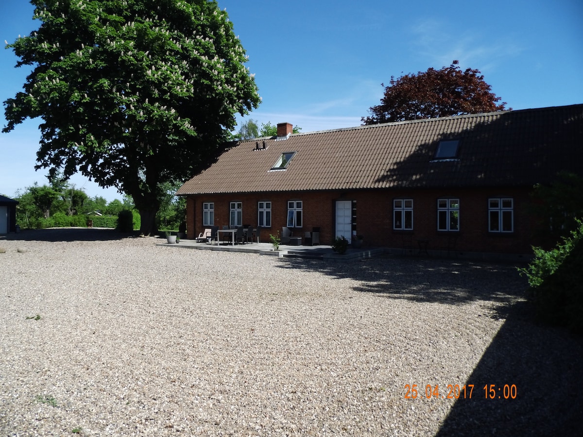 A charming red-brick building is surrounded by a spacious gravel area. Large windows line the facade, reflecting natural light, while a sloped roof showcases two skylights. Nearby, a large tree offers shade, enhancing the serene outdoor environment.