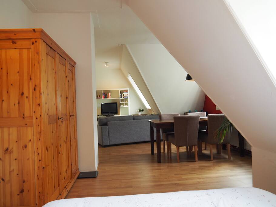 Living/bedroom