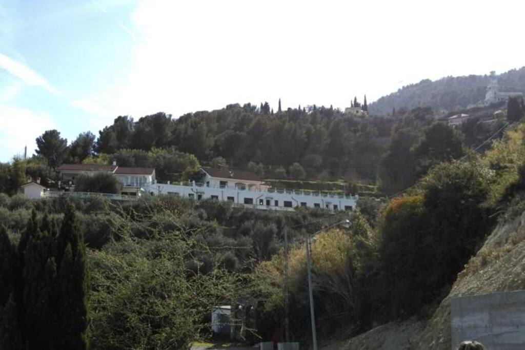 B&B Bellavista