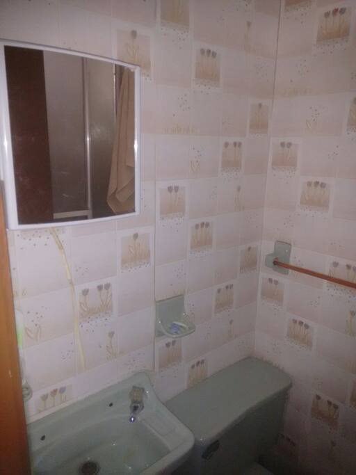 Bathroom, shower, mirror