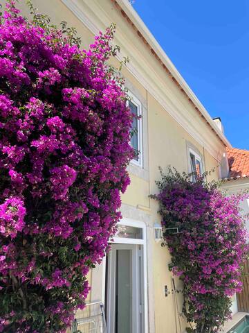 Casa Navegantes (casa cascais) gallery image 5