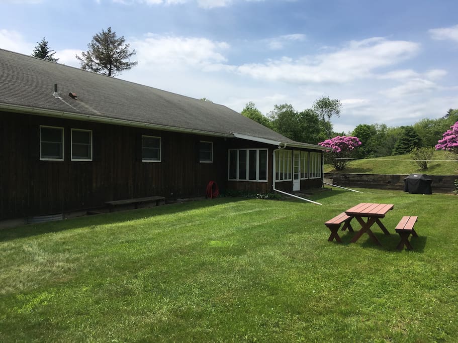 Lower back yard with picnic table and gas grill